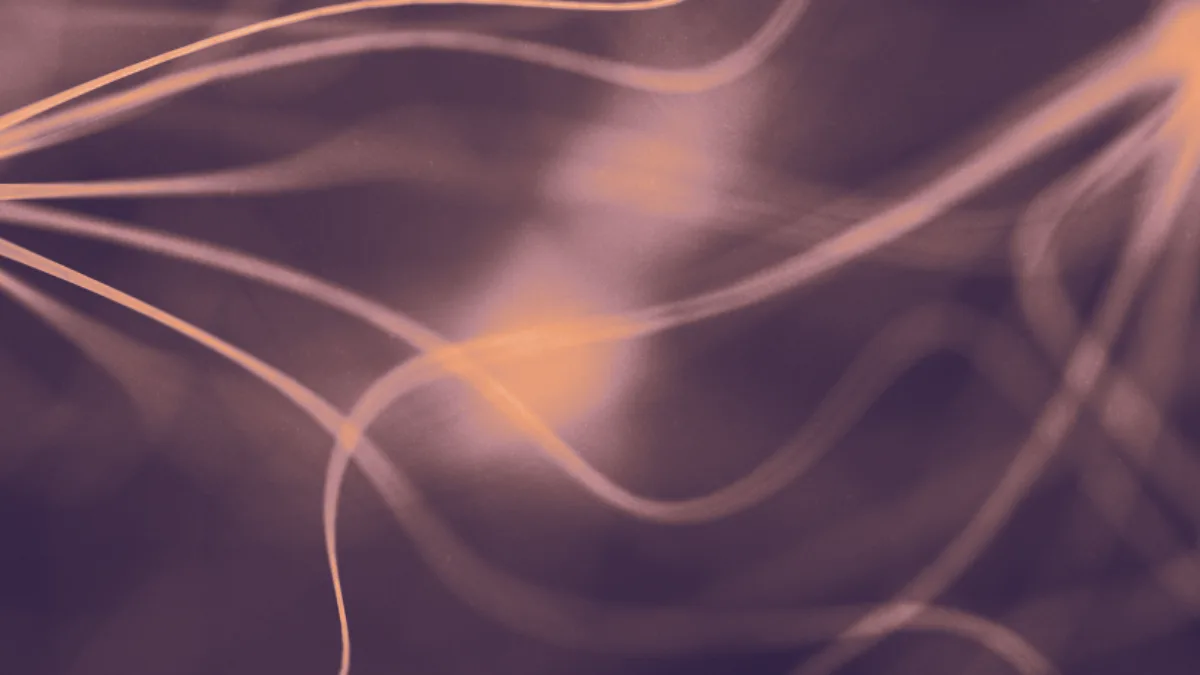 Keynote Sleep & Nervous System
